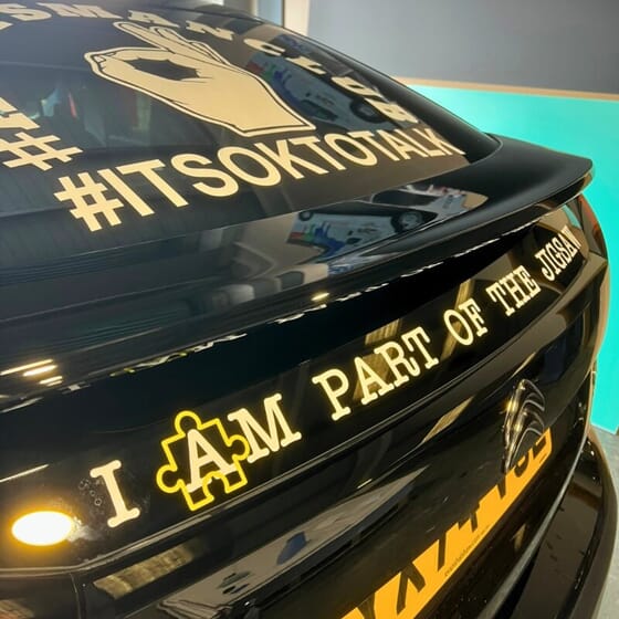 An image of the vehicle graphics on the bumper.